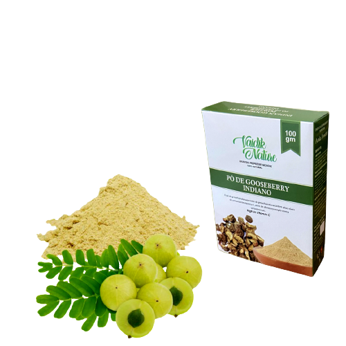 INDIAN_GOOSEBERRY_POWDER